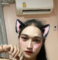 Bella - Transsexual escort in Dubai
