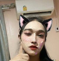 Bella - Transsexual escort in Dubai
