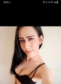 Bella - Transsexual escort in Khobar Photo 2 of 4