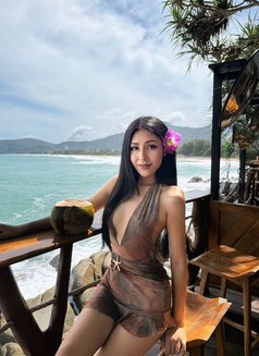 Bella - Transsexual escort in Phuket Photo 1 of 5