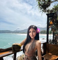 Bella - Transsexual escort in Phuket