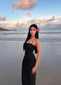 Bella - Transsexual escort in Phuket Photo 3 of 5
