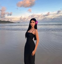 Bella - Transsexual escort in Phuket