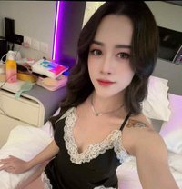 Bella - Acompañantes transexual in Singapore