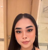 Bella - Male escort in Doha