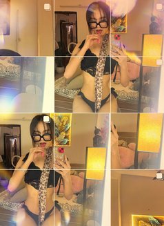 Bella the Beauty - Acompañantes transexual in New Delhi Photo 7 of 12