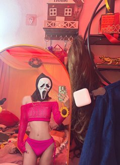 Bella the Beauty - Acompañantes transexual in New Delhi Photo 16 of 16