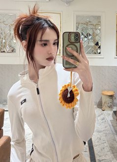 Bella the Beauty - Transsexual escort in New Delhi Photo 17 of 17