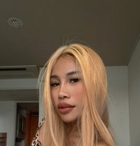 Bella the first time here - escort in Okinawa Island Photo 10 of 11