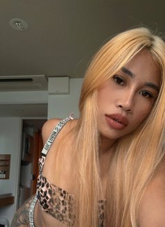 Bella the first time here - escort in Okinawa Island Photo 11 of 11