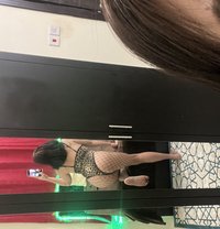 Bella Ticha Ladyboy From Thailand 🇹🇭 - Transsexual escort in Al Manama