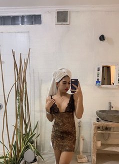 Bella Top Lady - Acompañante transexual in Bali Photo 1 of 8