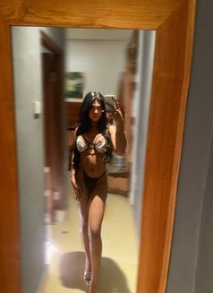 Bella Top Lady - Acompañante transexual in Bali Photo 4 of 8