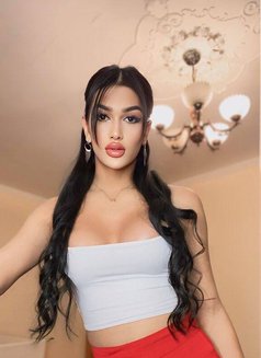 🇧🇾Bella🇧🇾 Vip - Transsexual escort in Al Manama Photo 3 of 10