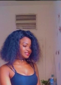 Bella X0 X - escort in Beirut Photo 7 of 7