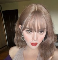 Bella69 - Acompañantes transexual in Pattaya