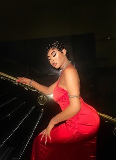 Bellaberry - escort in Pune Photo 1 of 6