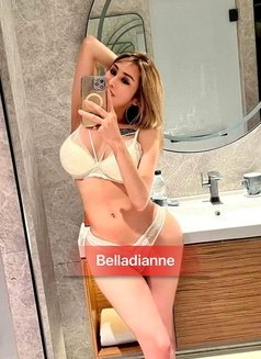 Bombshell Belladianne in Casablanca Now - Acompañantes transexual in Casablanca Photo 28 of 29