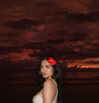 Belle Moonlight - Transsexual escort in Kuala Lumpur