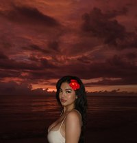 Belle Moonlight - Transsexual escort in Kuala Lumpur