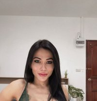 Belle - Transsexual escort in Phuket