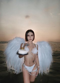 Bellra - Transsexual escort agency in Pattaya Photo 3 of 7