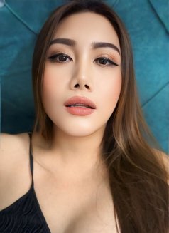 Belly Ladyboy Chubby - Acompañantes transexual in Riyadh Photo 12 of 12