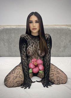 Belly Ladyboy Chubby - Transsexual escort in Riyadh Photo 3 of 5