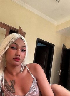 Belxnda🤪 - Acompañantes transexual in Şalālah Photo 3 of 5