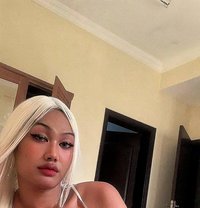 Belxnda🤪 - Transsexual escort in Şalālah