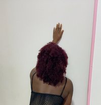 Benita - escort in Cairo
