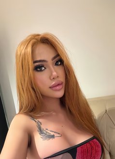 Benz Mercedes 79 - Acompañantes transexual in Jeddah Photo 1 of 7