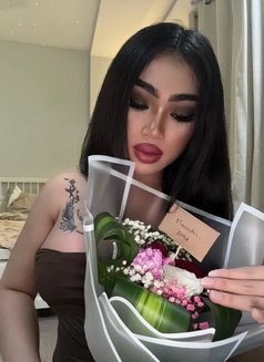 Benz Nattinasar - Transsexual escort in Jeddah Photo 3 of 8