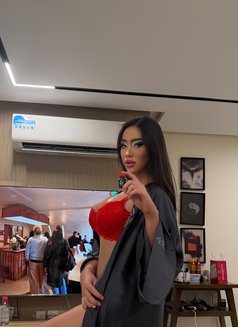Benz Nattinasar - Transsexual escort in Jeddah Photo 2 of 6