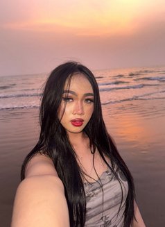 Benz sexy VIP service - Transsexual escort in Muscat Photo 2 of 7