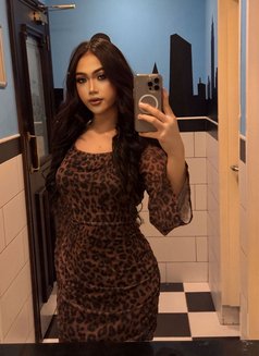Benz sexy VIP service - Transsexual escort in Muscat Photo 4 of 7