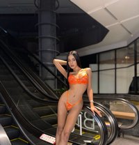 Benz - Transsexual dominatrix in Phuket Photo 16 of 16