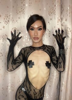 Benz บริการดีที่สุด - Male escort in Bangkok Photo 6 of 12
