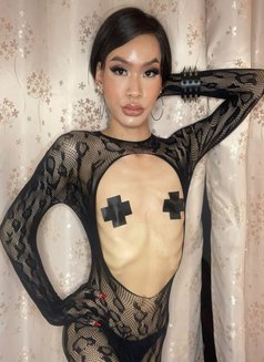 Benz บริการดีที่สุด - Male escort in Bangkok Photo 5 of 12