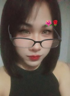 Benzy11top&bott - Transsexual escort in Ajmān Photo 8 of 10