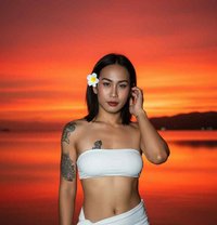 Benzy11 welcome - Acompañantes transexual in Ajmān