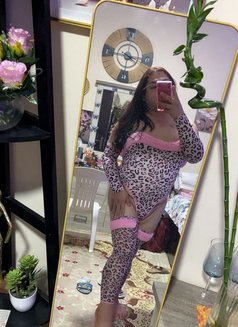 Bernadette Ajman Ladyboy 🇵🇭🇦🇪 - Transsexual escort in Ajmān Photo 23 of 26