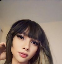 Berry - Acompañantes transexual in Dubai