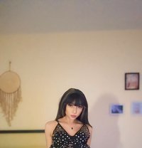 Berry - Acompañantes transexual in Dubai