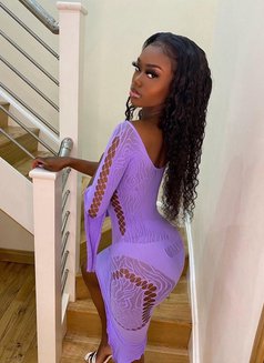 Sofia - escort in Riyadh Photo 1 of 2