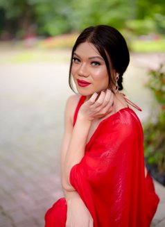 Berryjuicy - Acompañantes transexual in Pune Photo 12 of 12