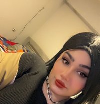 Besan - Transsexual escort in Beirut