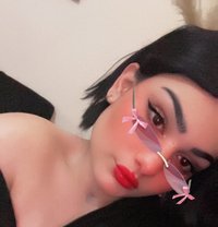 Besan - Acompañantes transexual in Beirut