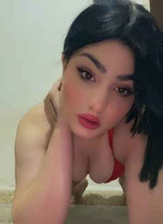 Besan - Transsexual escort in Beirut Photo 11 of 12