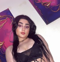 Besan - Acompañantes transexual in Beirut